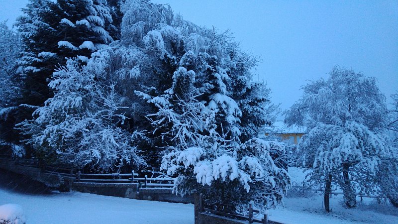 Winterfoto